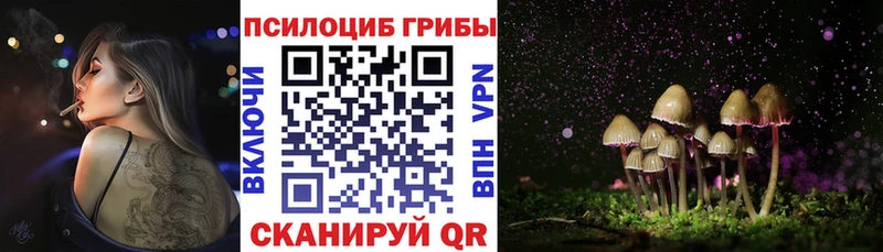 закладки  Суоярви  Псилоцибиновые грибы Cubensis 
